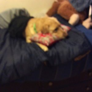 Meet your Posher, Sam